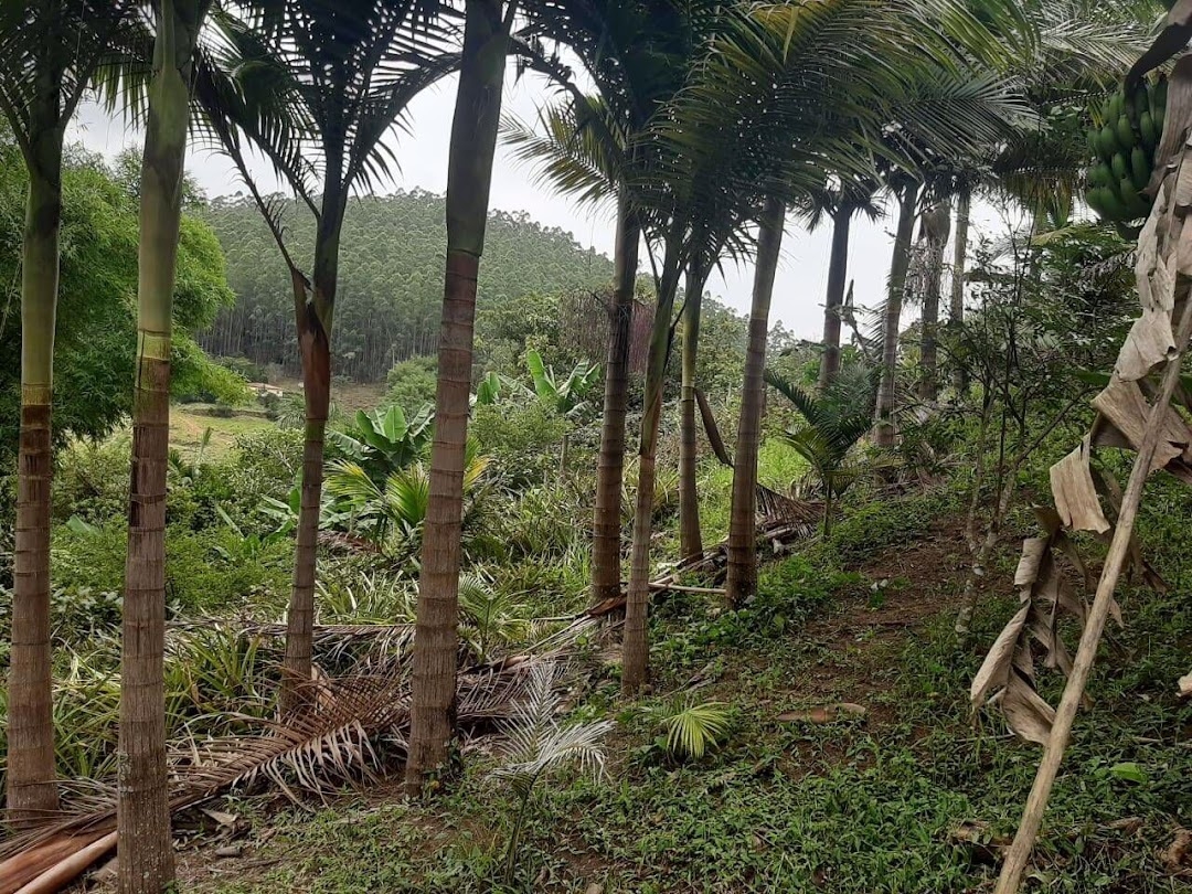 Sítio, 3 quartos, 250 m² - Foto 12