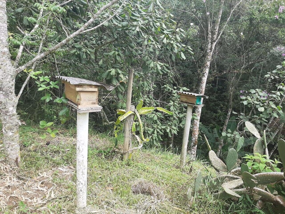 Sítio, 3 quartos, 250 m² - Foto 13