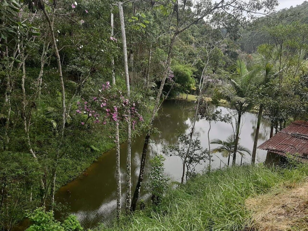 Sítio, 3 quartos, 250 m² - Foto 17