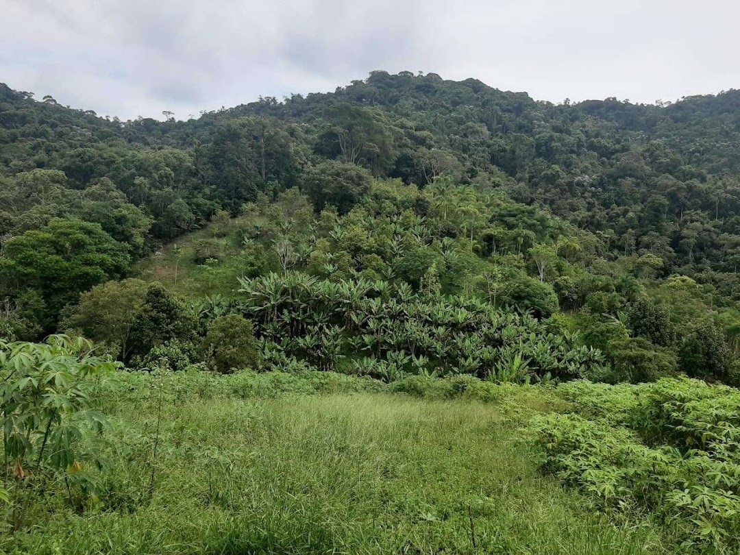 Sítio, 3 quartos, 250 m² - Foto 19