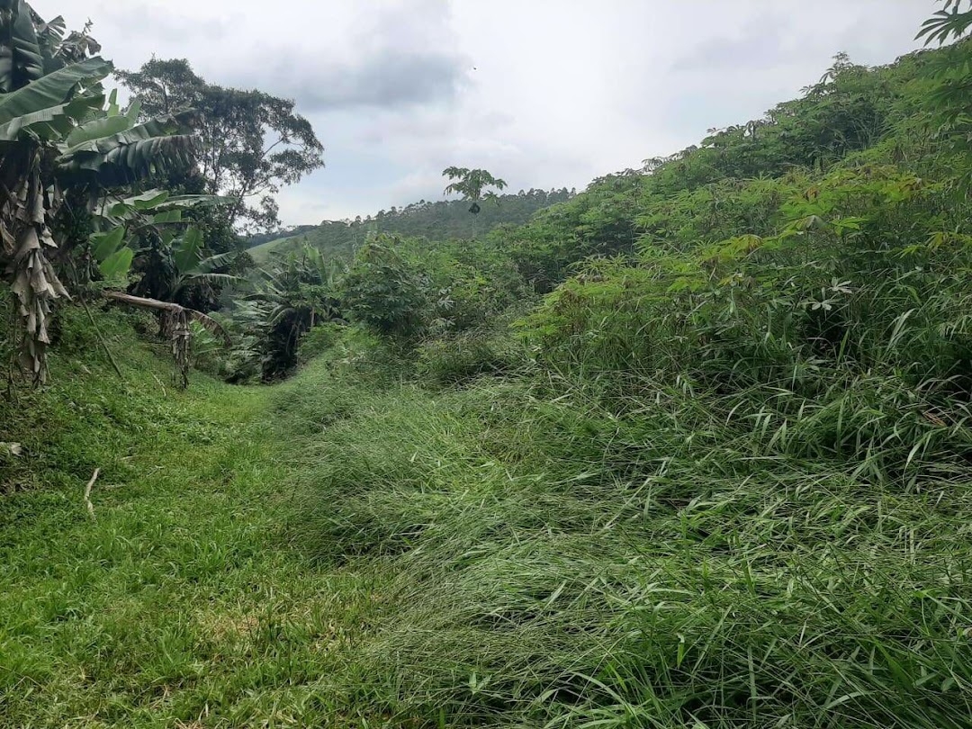 Sítio, 3 quartos, 250 m² - Foto 21