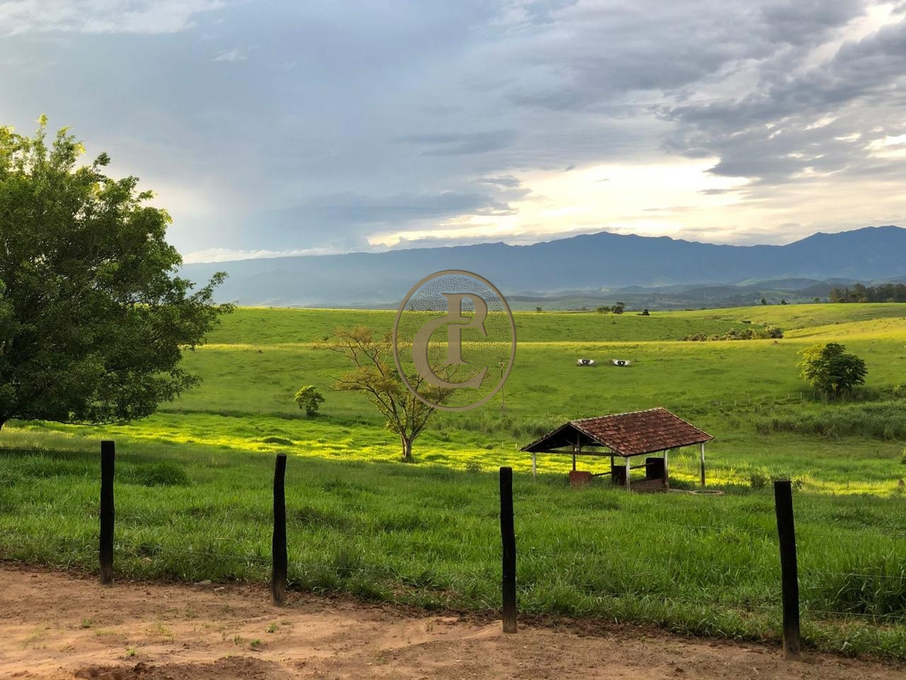 Fazenda-Sítio-Chácara, 6000 m² - Foto 4