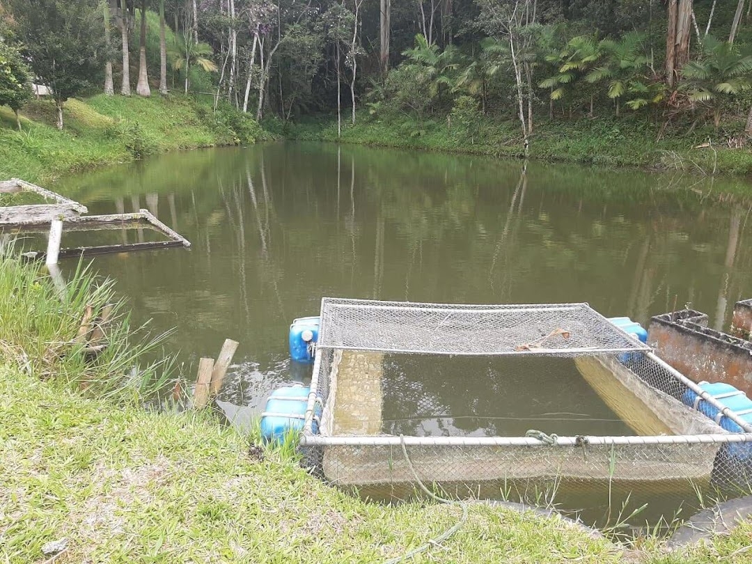 Sítio, 3 quartos, 250 m² - Foto 11