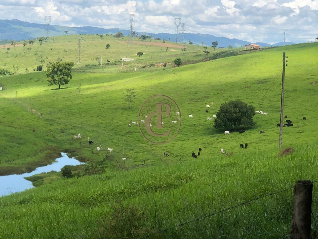 Fazenda-Sítio-Chácara, 6000 m² - Foto 2