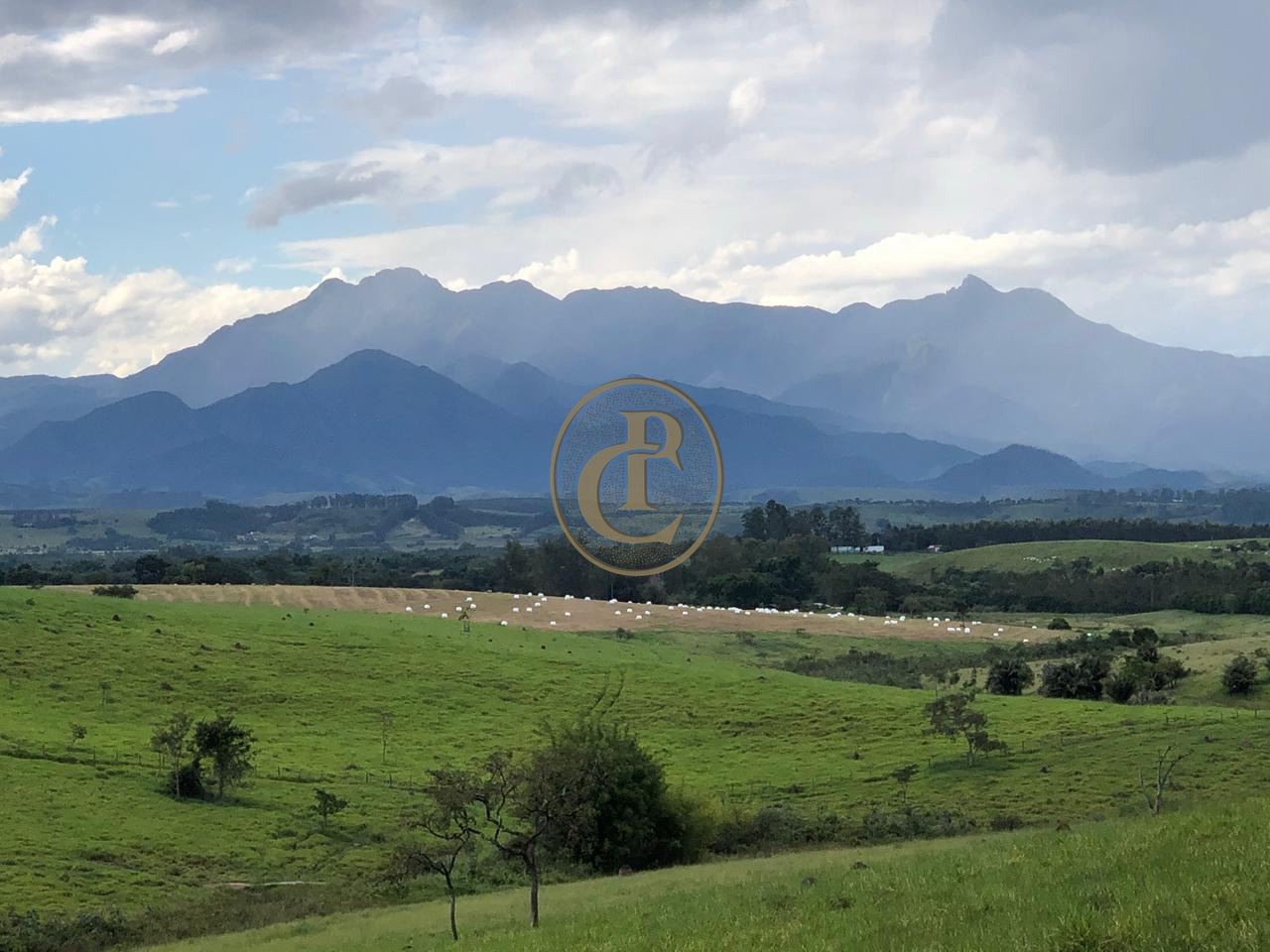 Fazenda-Sítio-Chácara, 6000 m² - Foto 1