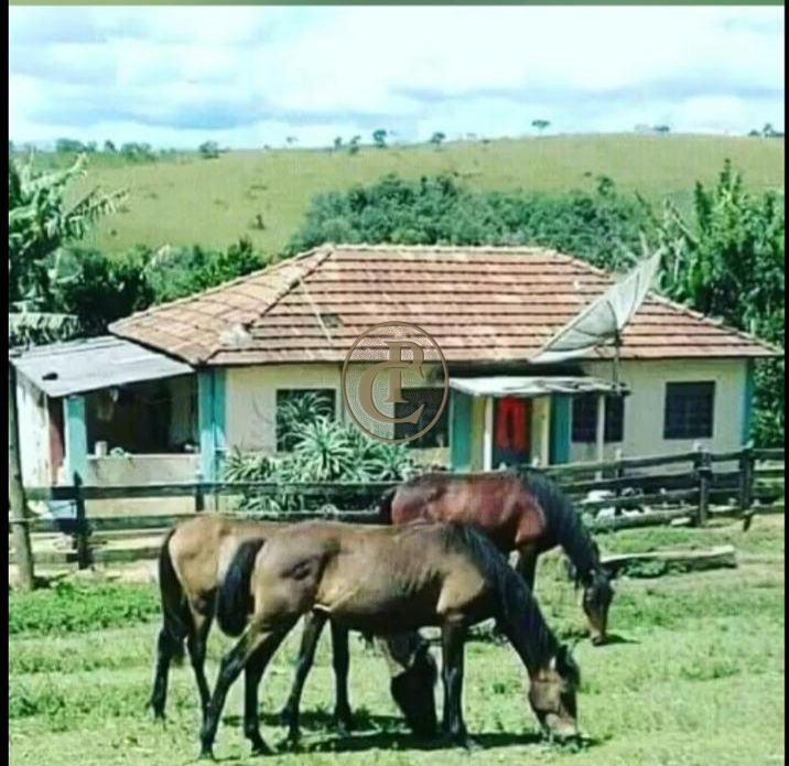 Fazenda, 200 m² - Foto 1