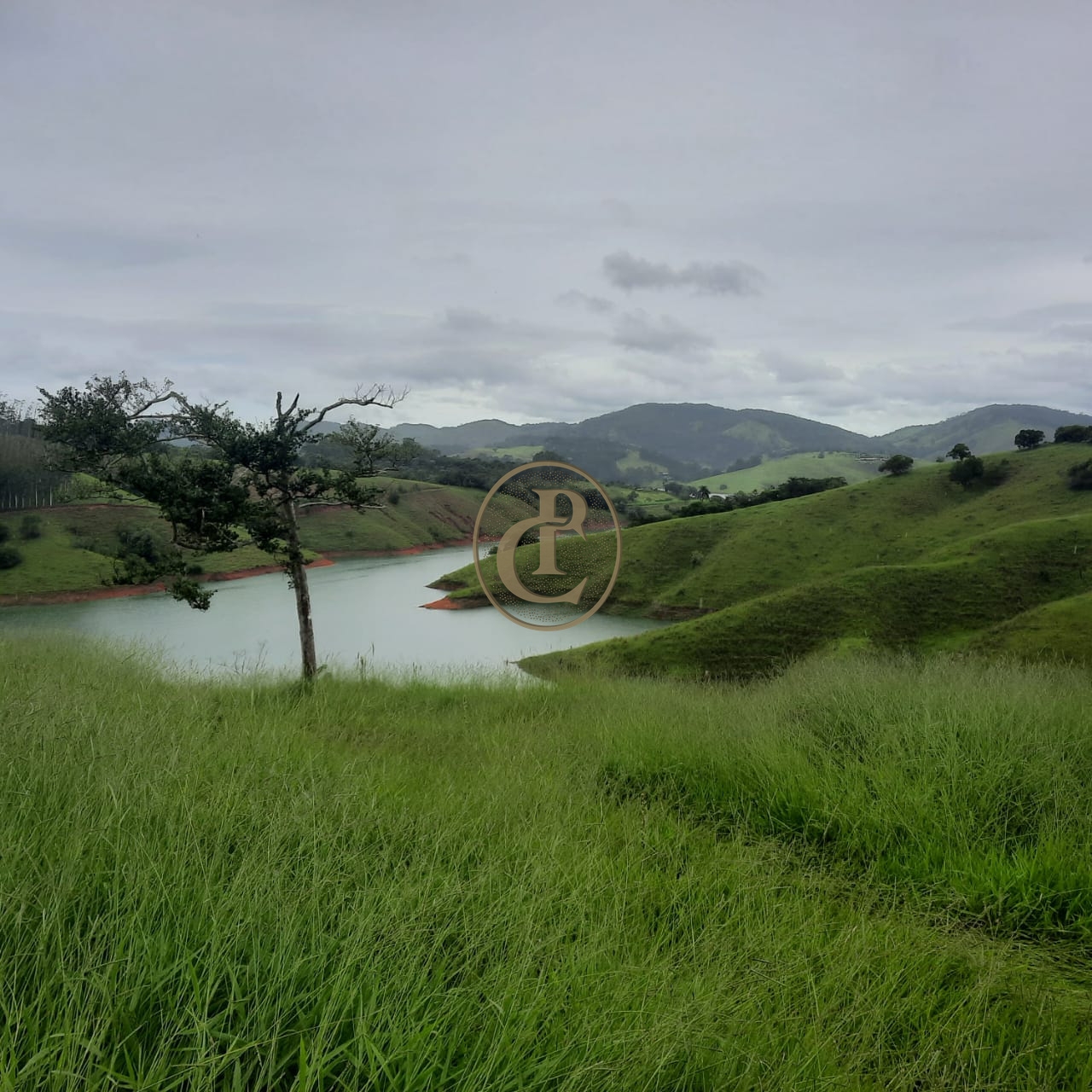 Sítio, 5 quartos, 300 m² - Foto 1