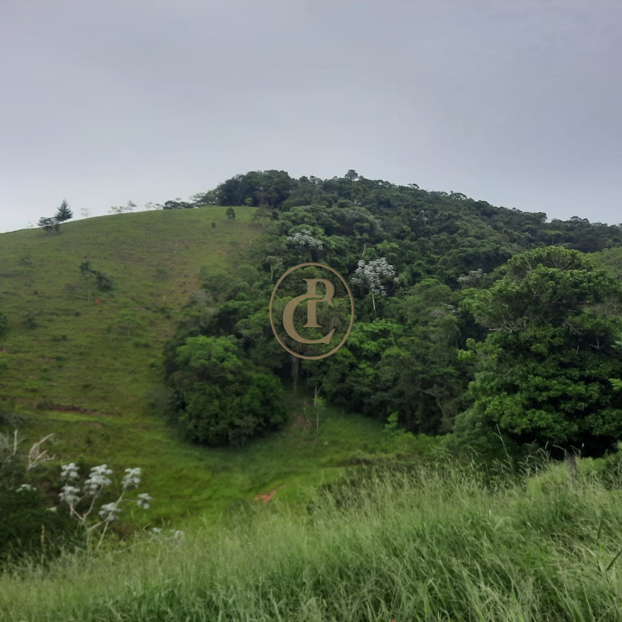 Sítio, 5 quartos, 300 m² - Foto 2