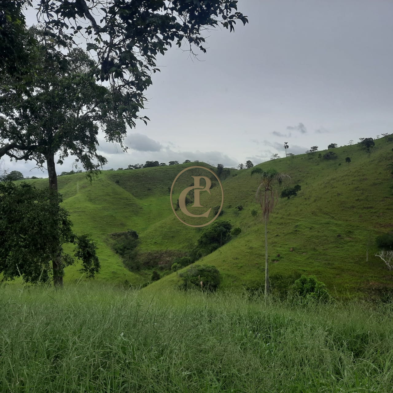 Sítio, 5 quartos, 300 m² - Foto 3