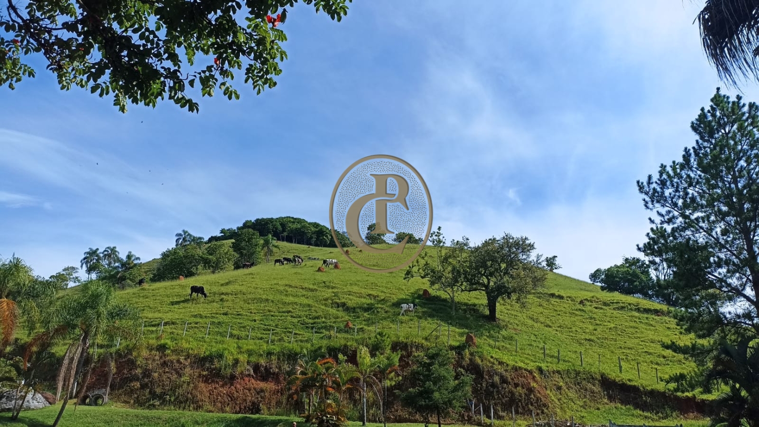 Sítio, 1 quarto, 100 m² - Foto 1