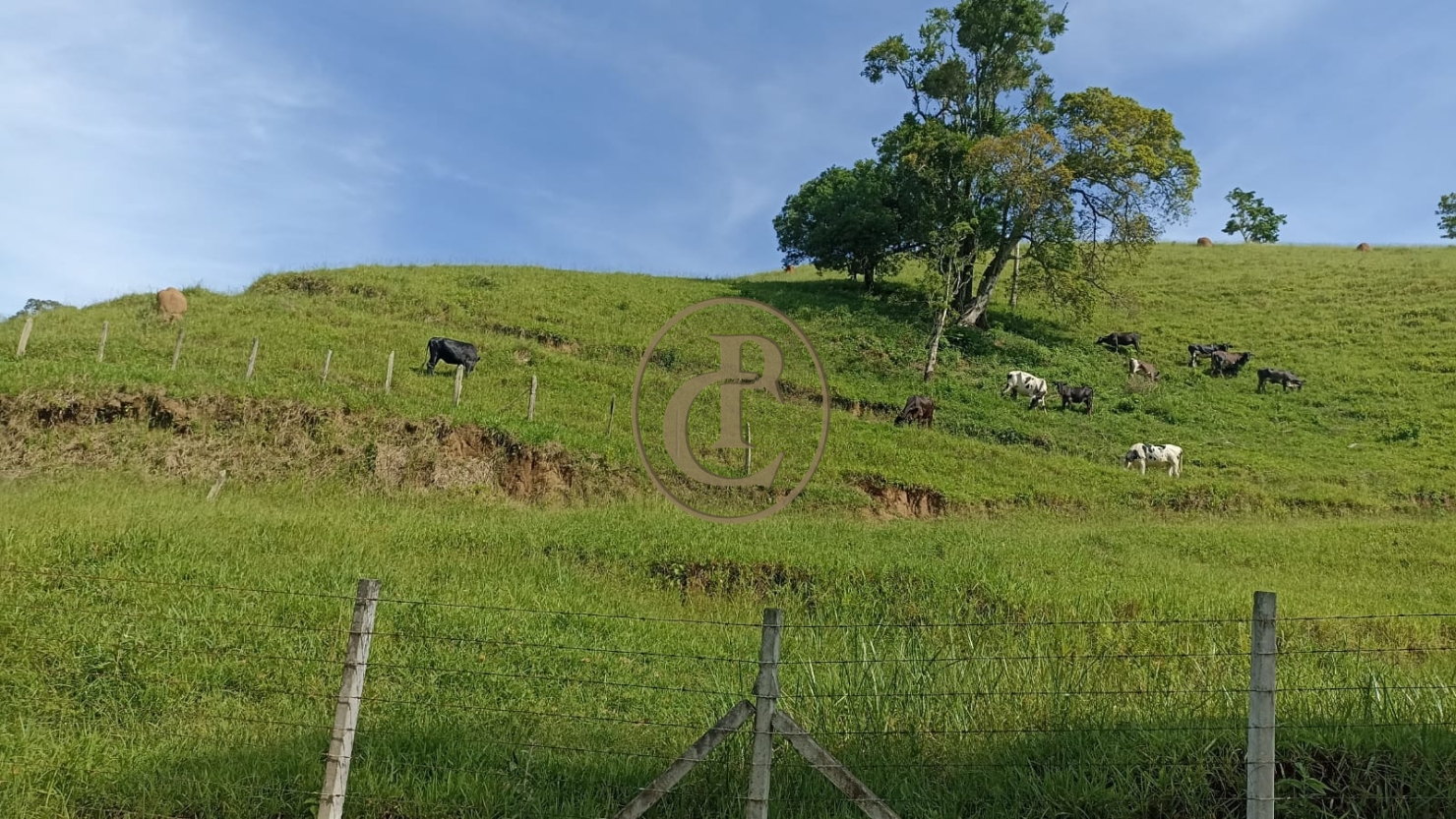 Sítio, 1 quarto, 100 m² - Foto 3