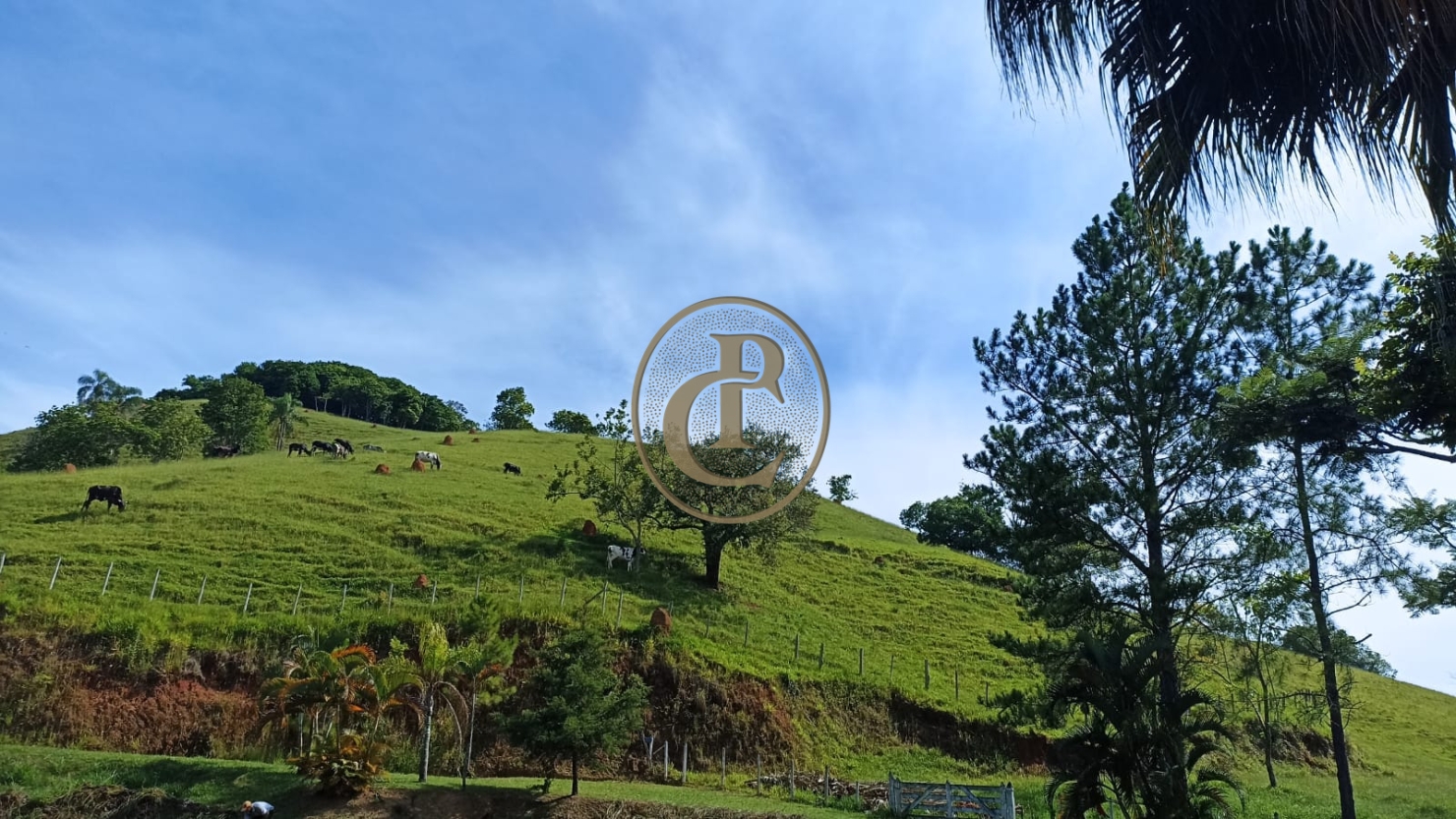 Sítio, 1 quarto, 100 m² - Foto 4