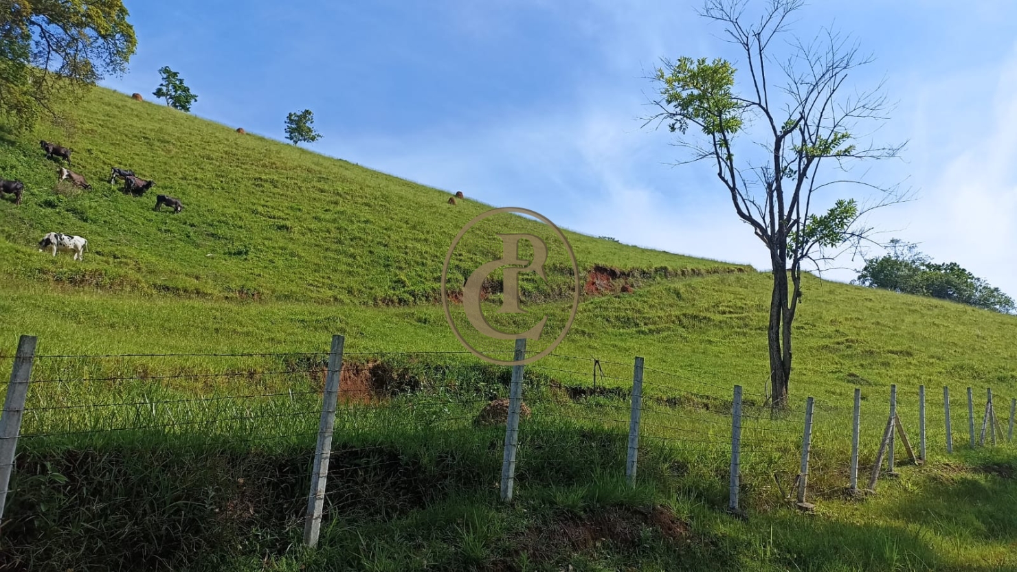 Sítio, 1 quarto, 100 m² - Foto 5