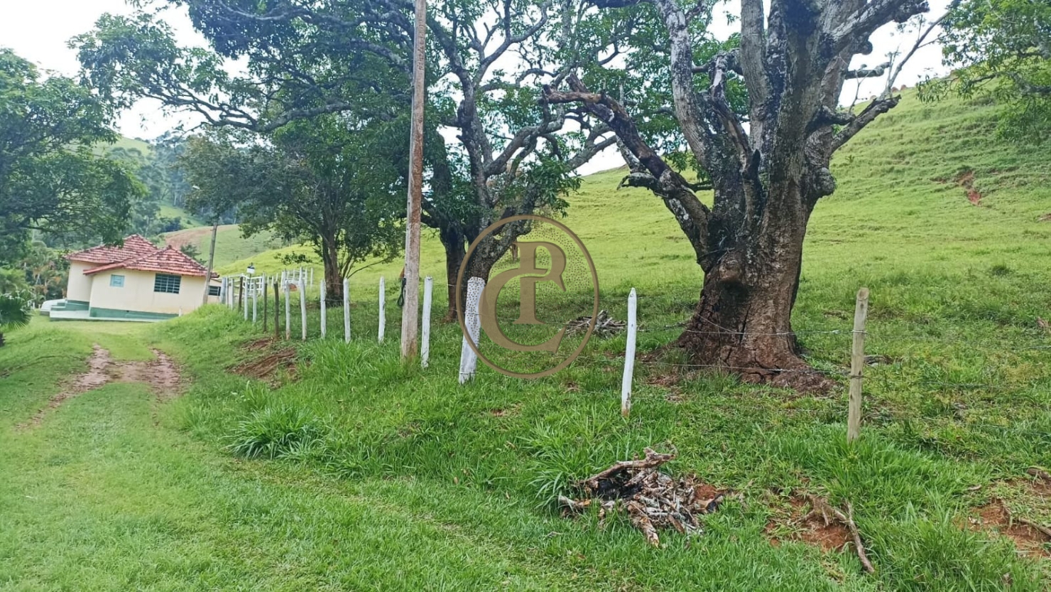 Sítio, 1 quarto, 200 m² - Foto 1