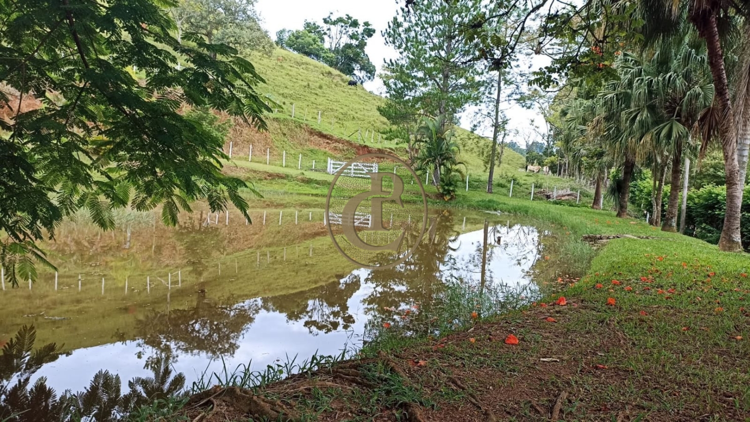 Sítio, 1 quarto, 200 m² - Foto 6