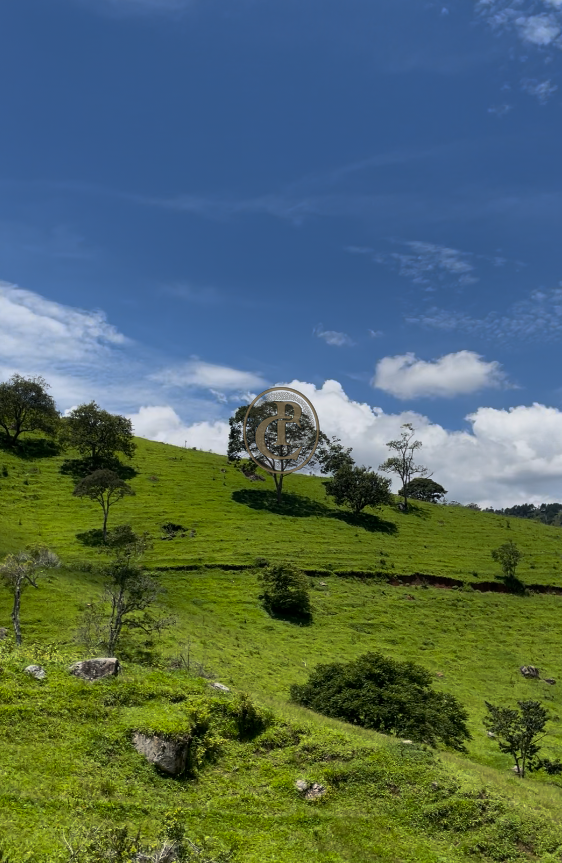 Terreno, 8 m² - Foto 2