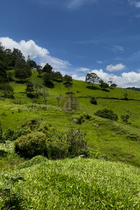 Terreno, 8 m² - Foto 3