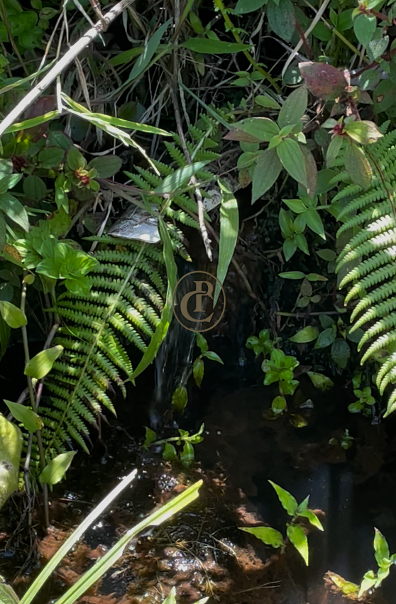 Terreno, 8 m² - Foto 5