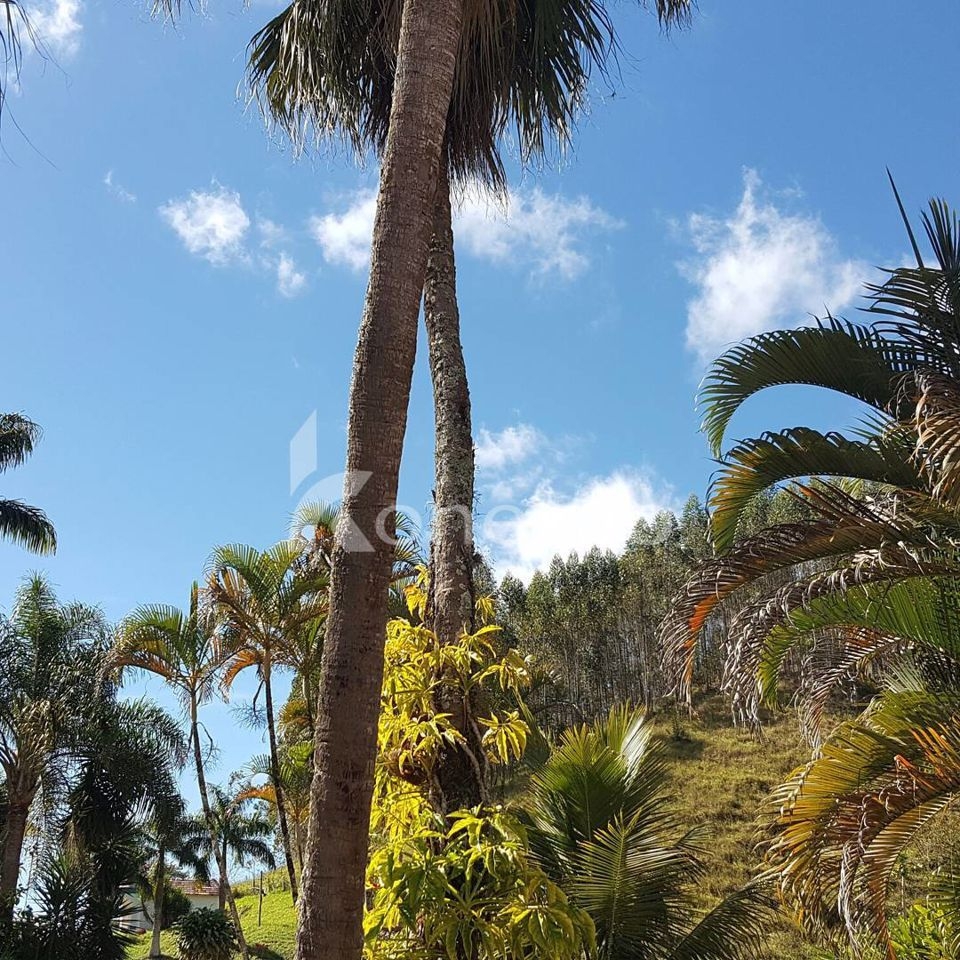 Fazenda em Paraibuna/São Paulo — Ref DRMGCN — Imagem 3