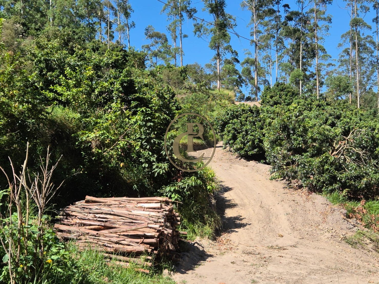 Sítio, 1 quarto, 100 m² - Foto 2