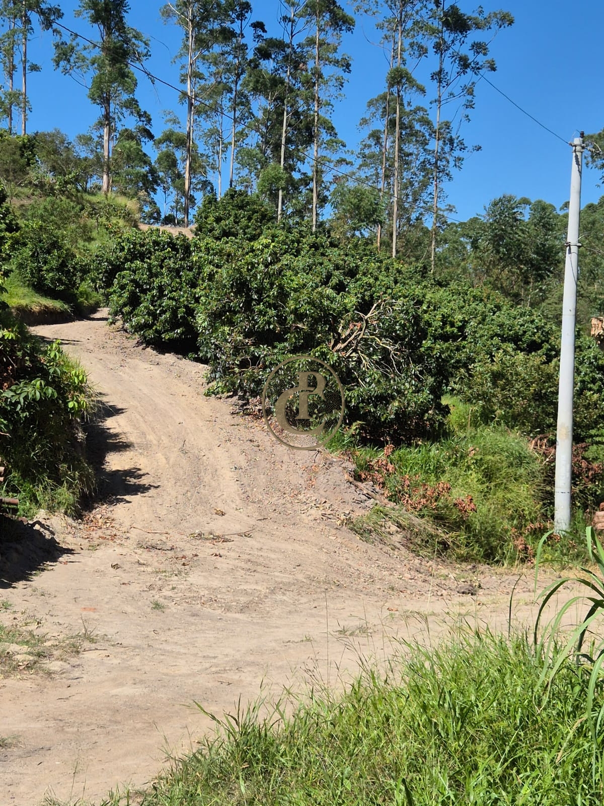 Sítio, 1 quarto, 100 m² - Foto 3