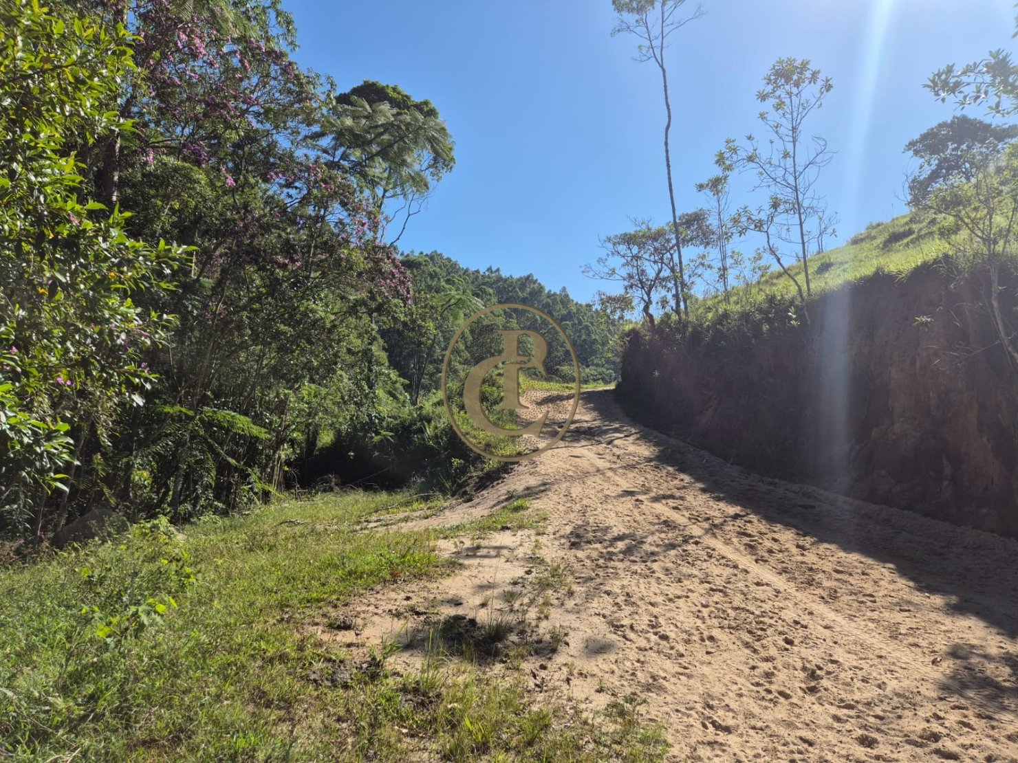 Sítio, 1 quarto, 100 m² - Foto 4