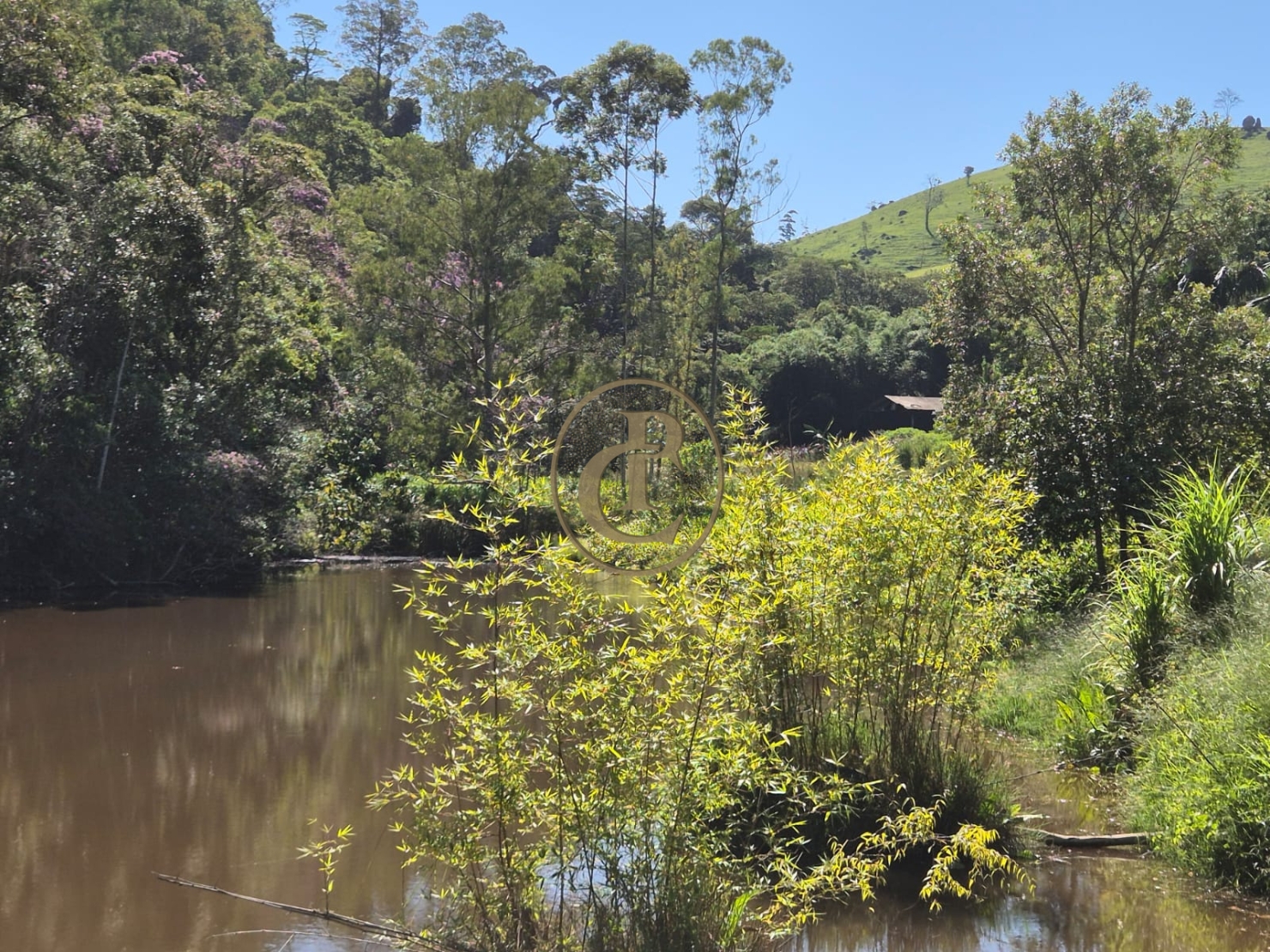 Sítio, 1 quarto, 100 m² - Foto 5