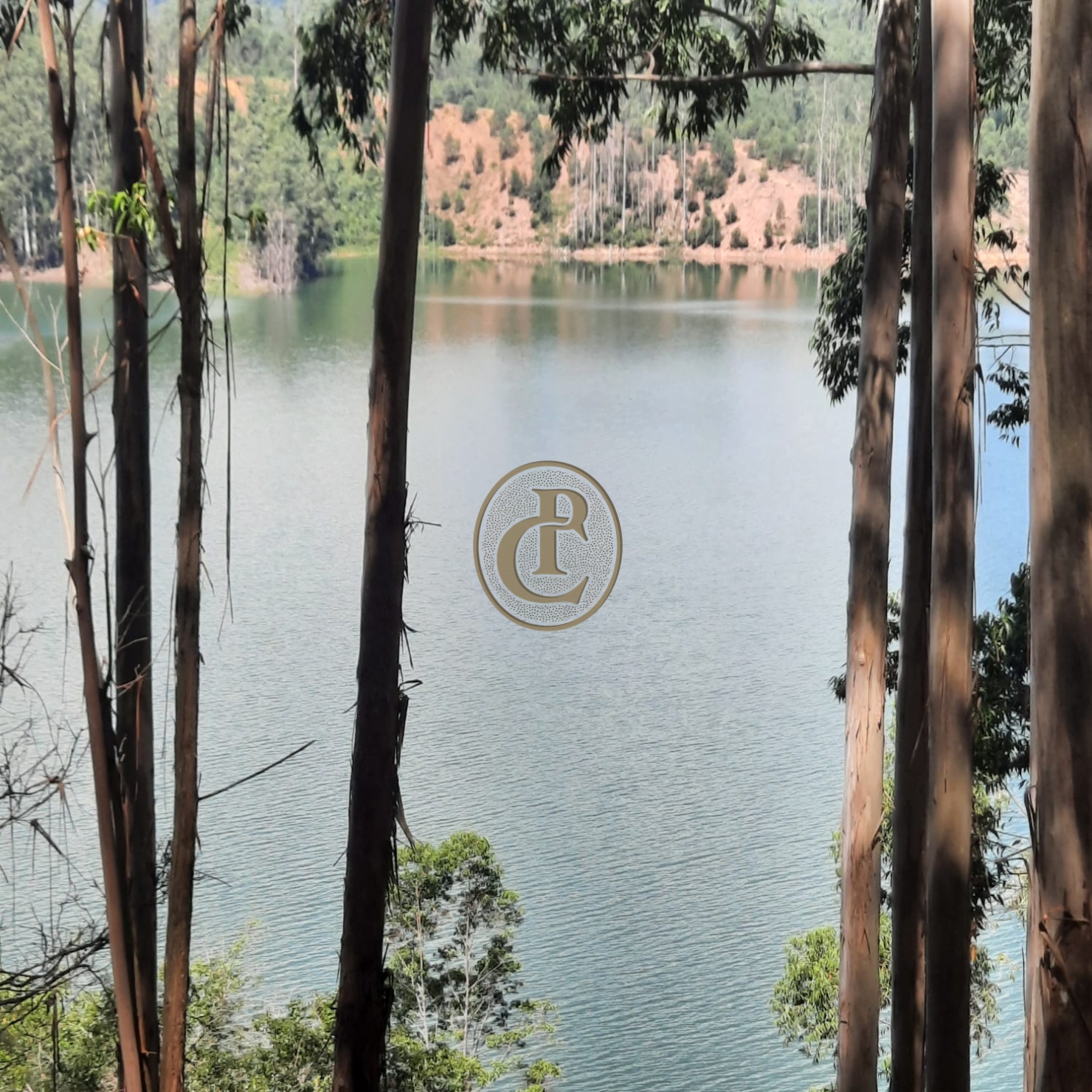 Fazenda, 100 m² - Foto 5