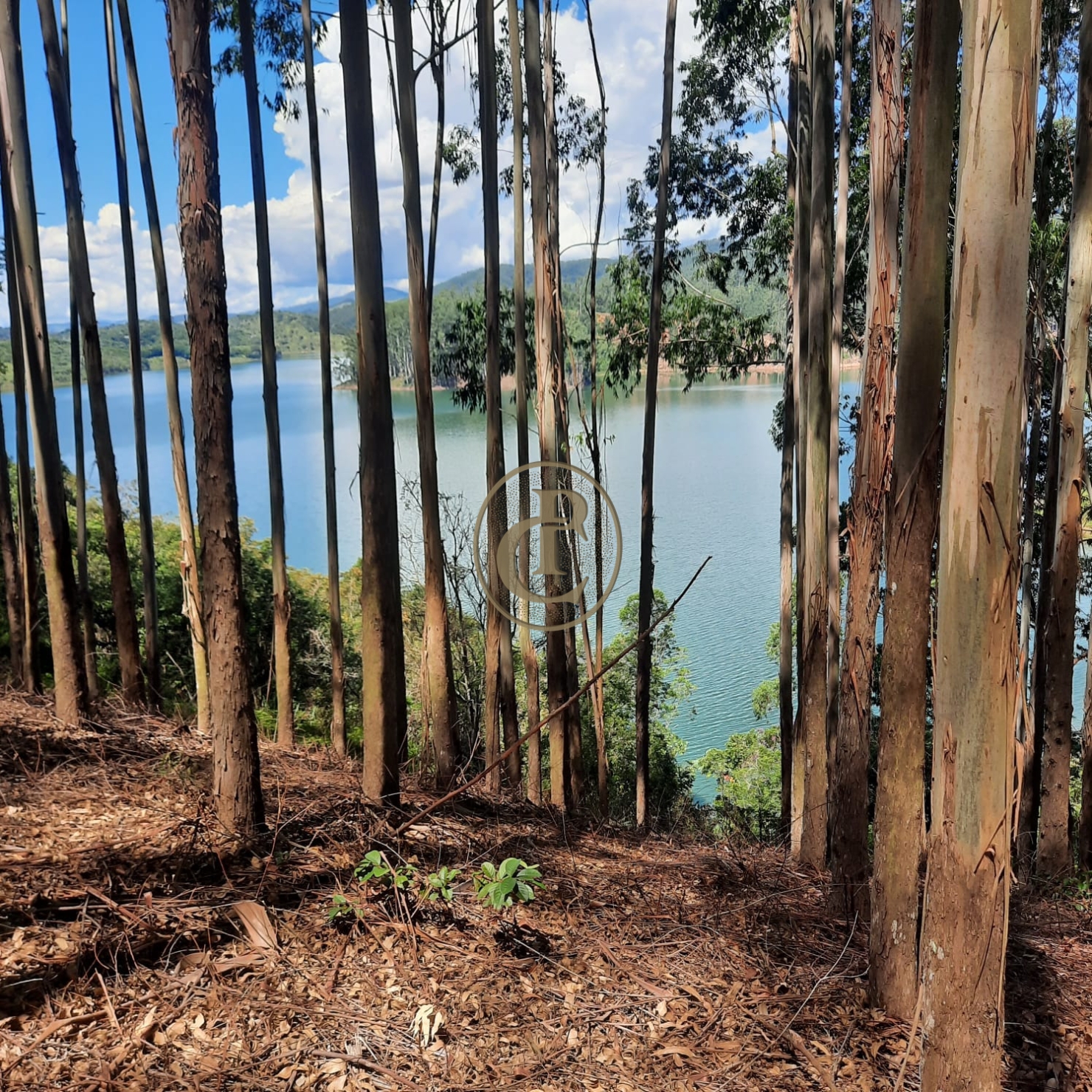 Fazenda, 100 m² - Foto 9