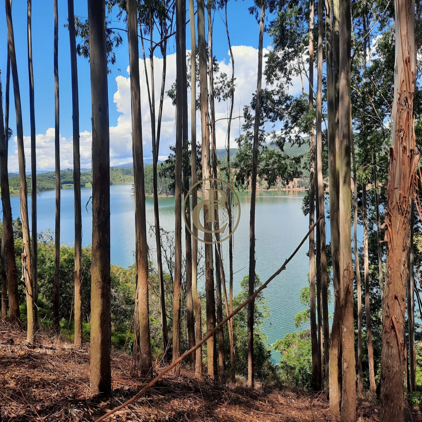 Fazenda, 100 m² - Foto 11