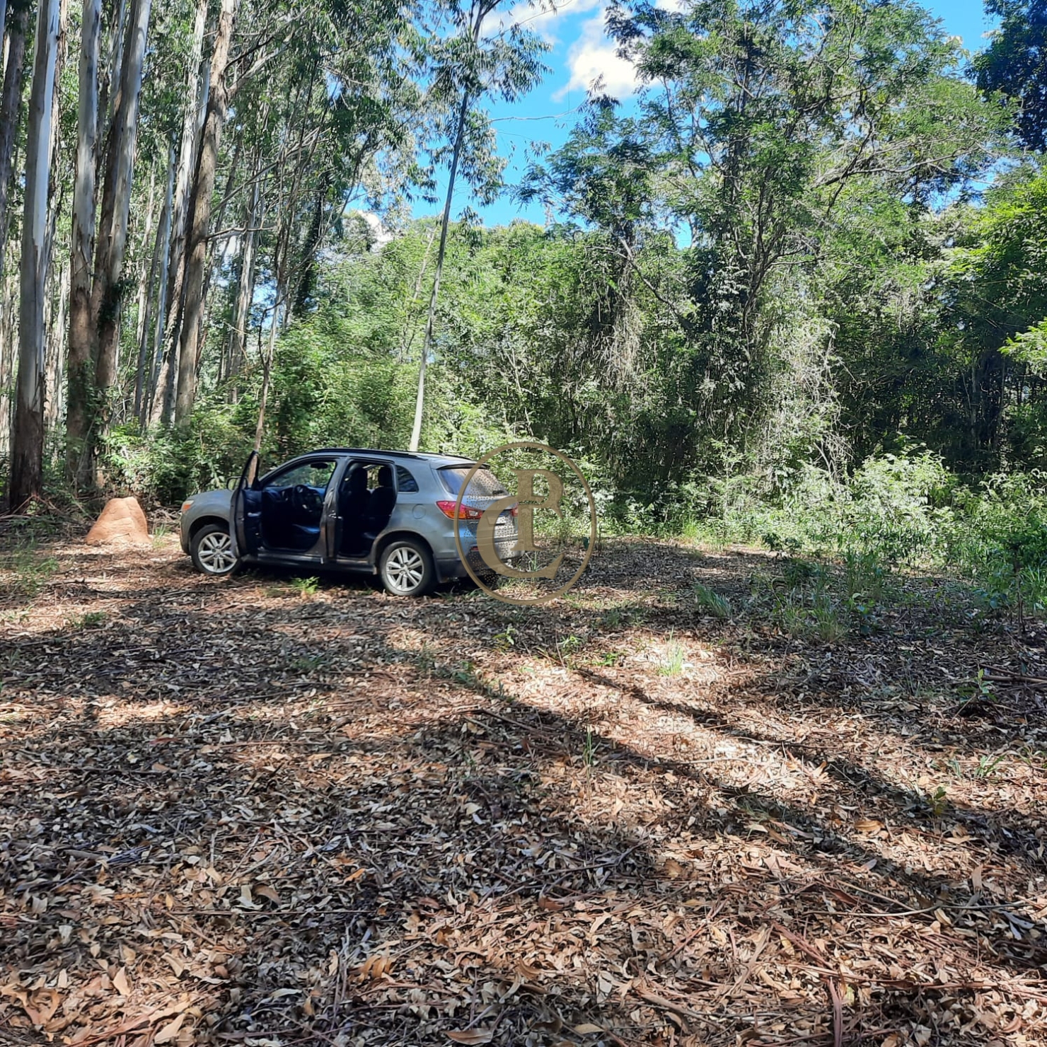 Fazenda, 100 m² - Foto 18