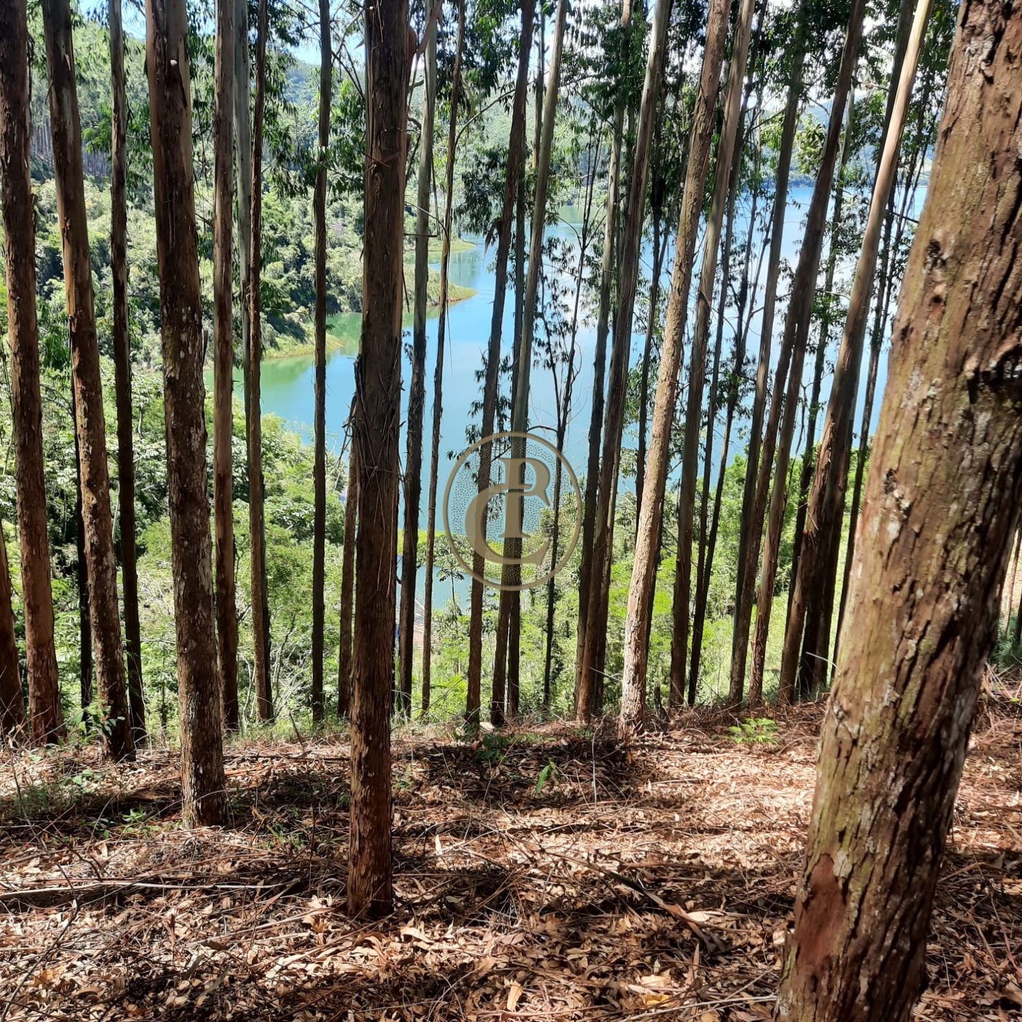 Fazenda, 100 m² - Foto 23