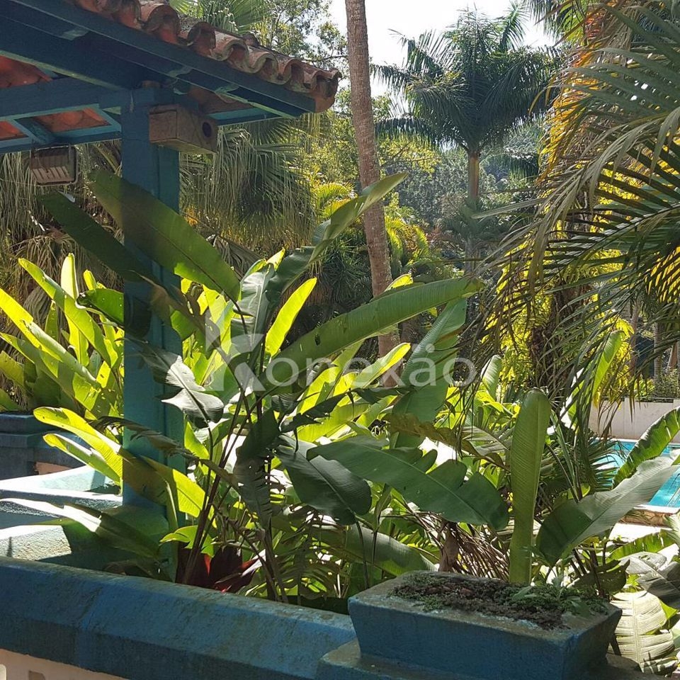 Fazenda em Paraibuna/São Paulo — Ref DRMGCN — Imagem 6