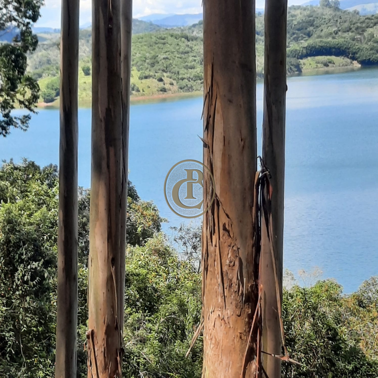 Fazenda, 100 m² - Foto 30