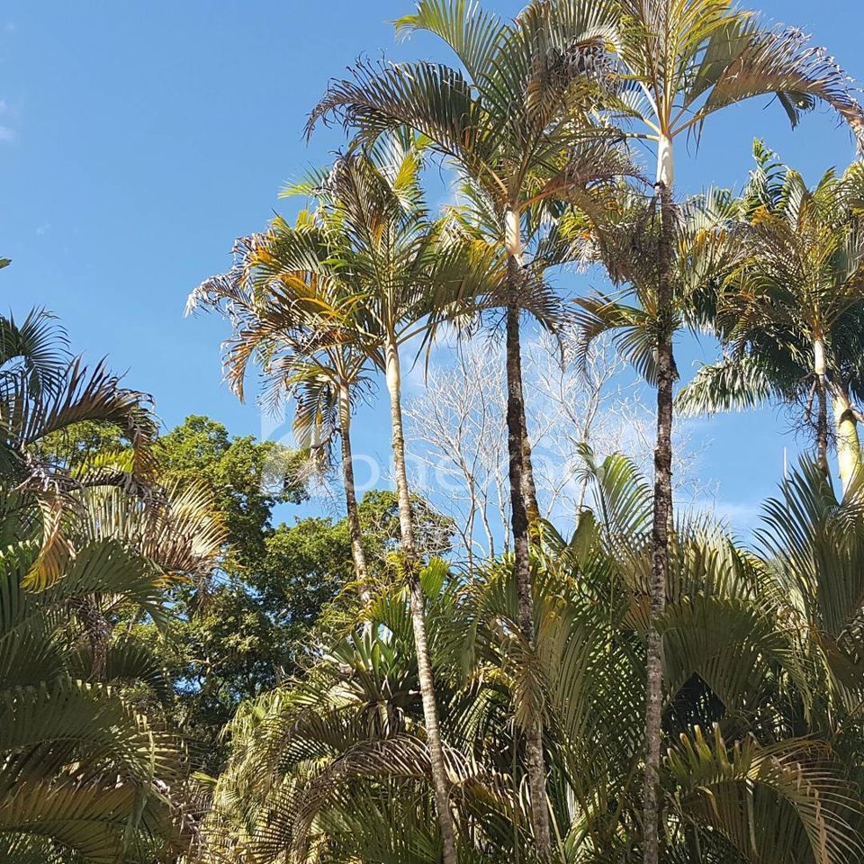 Fazenda em Paraibuna/São Paulo — Ref DRMGCN — Imagem 12