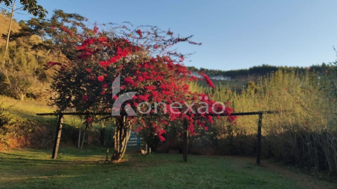 Fazenda em Paraibuna/São Paulo — Ref DRMGCN — Imagem 24