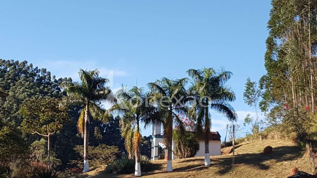 Fazenda em Paraibuna/São Paulo — Ref DRMGCN — Imagem 15