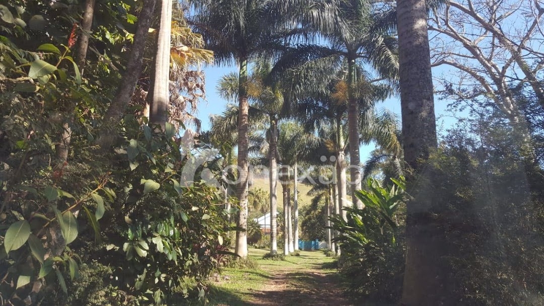 Fazenda em Paraibuna/São Paulo — Ref DRMGCN — Imagem 17
