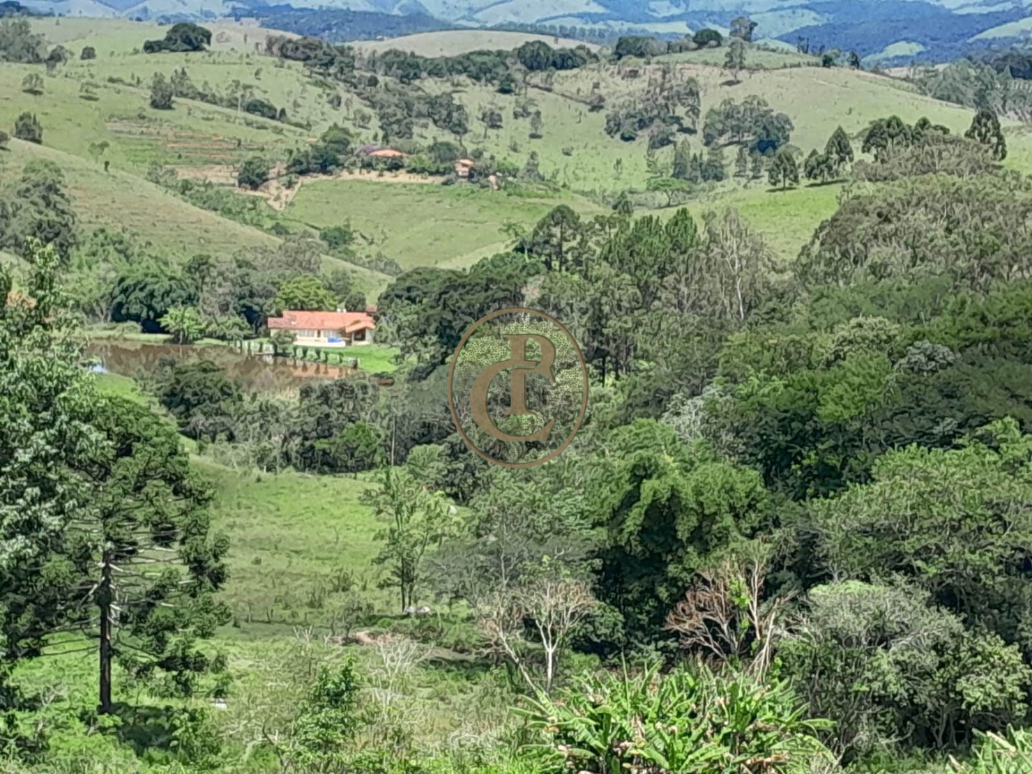 Sítio, 4 quartos, 44 m² - Foto 1