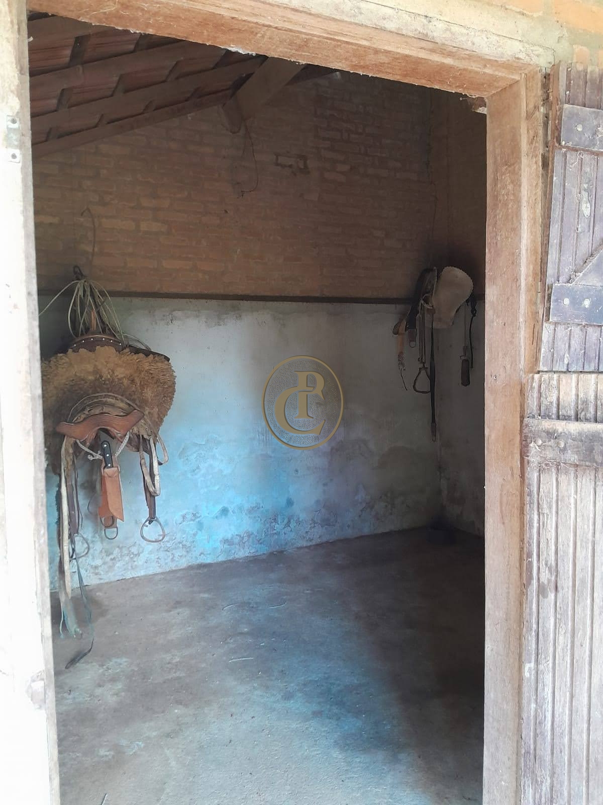 Sítio, 4 quartos, 44 m² - Foto 3