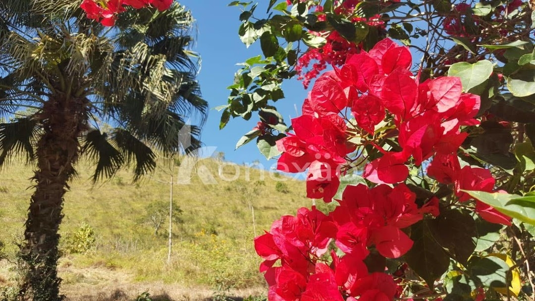 Fazenda em Paraibuna/São Paulo — Ref DRMGCN — Imagem 25