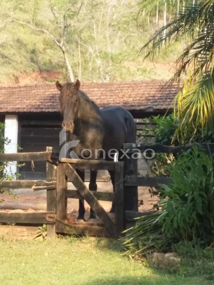 Fazenda em Paraibuna/São Paulo — Ref DRMGCN — Imagem 26
