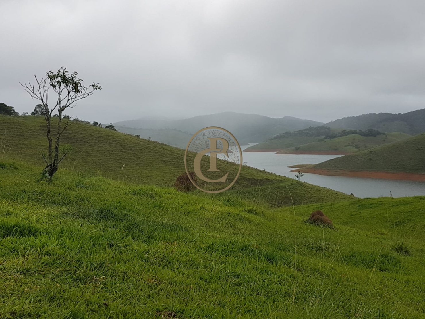 Fazenda-Sítio-Chácara, 400 m² - Foto 5