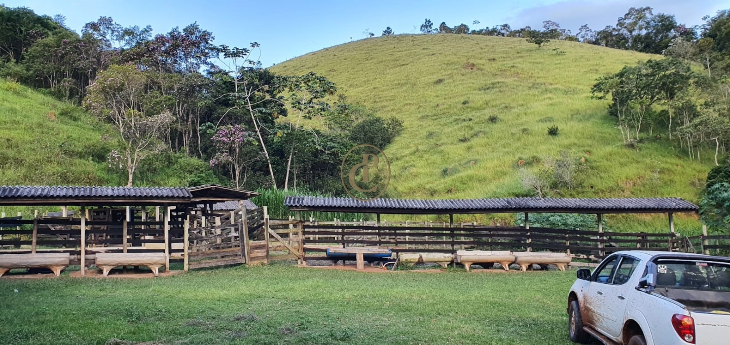 Fazenda-Sítio-Chácara, 400 m² - Foto 8