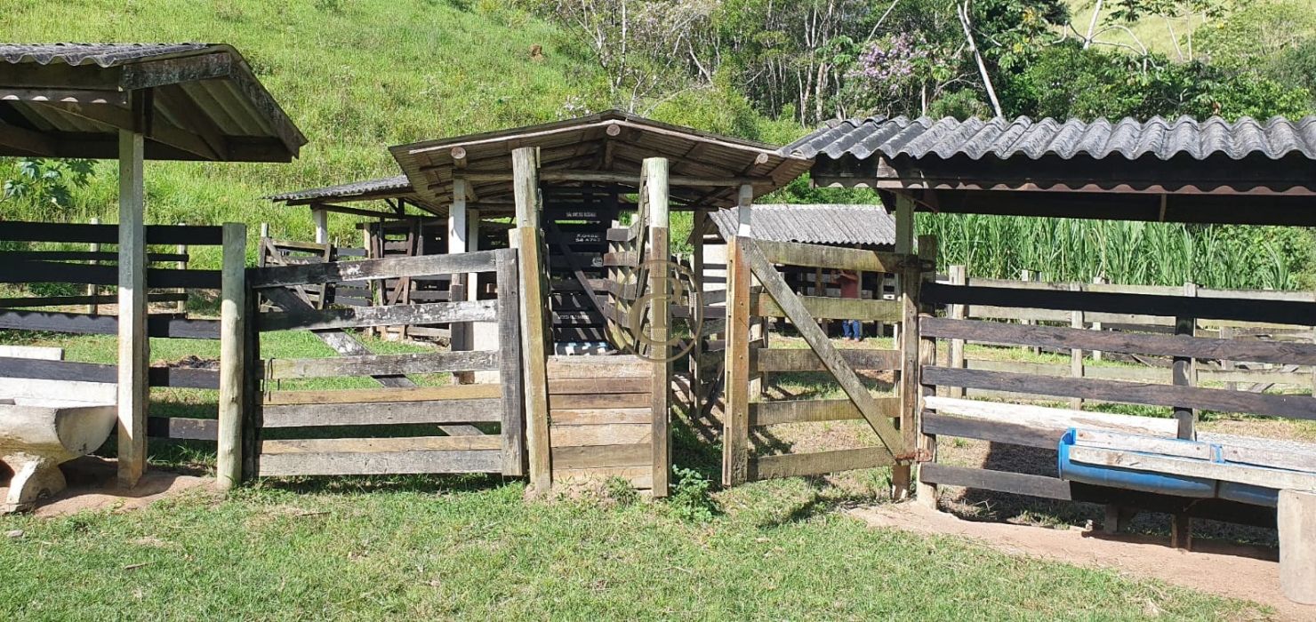 Fazenda-Sítio-Chácara, 400 m² - Foto 13