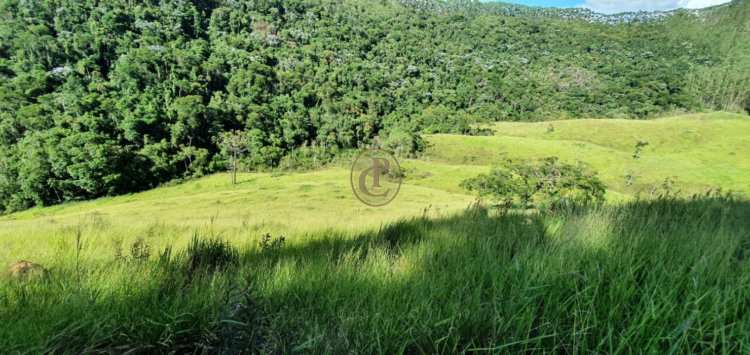 Fazenda-Sítio-Chácara, 400 m² - Foto 26