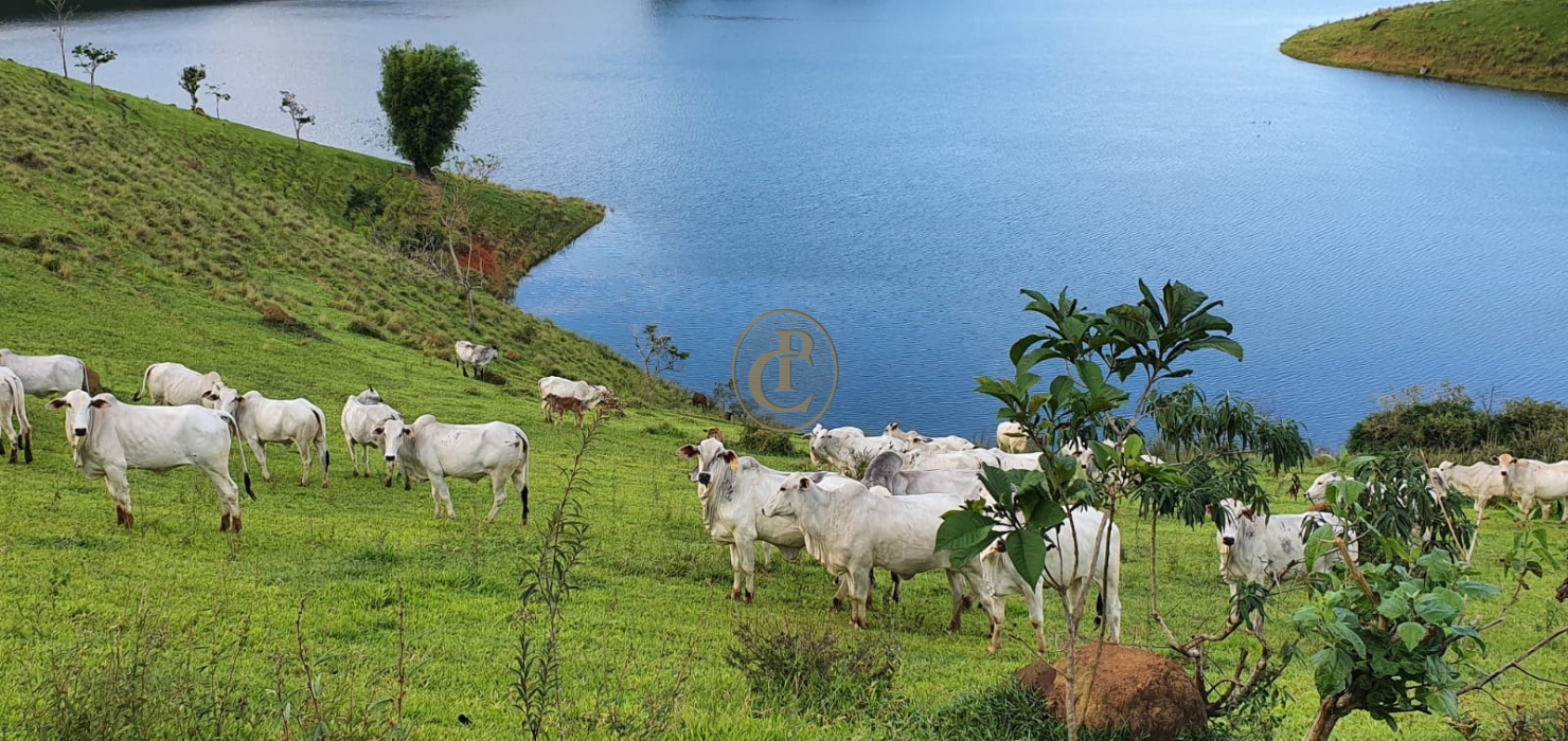 Fazenda-Sítio-Chácara, 400 m² - Foto 36