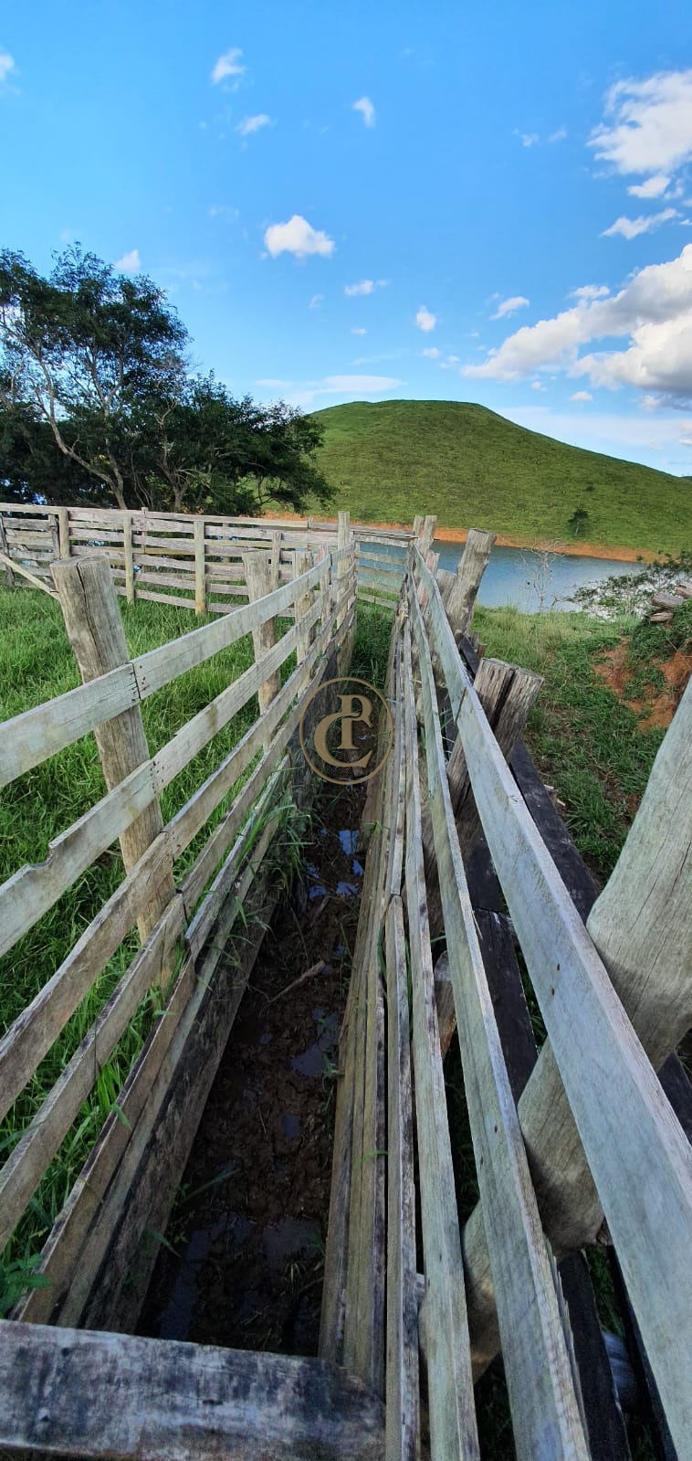 Fazenda-Sítio-Chácara, 400 m² - Foto 37