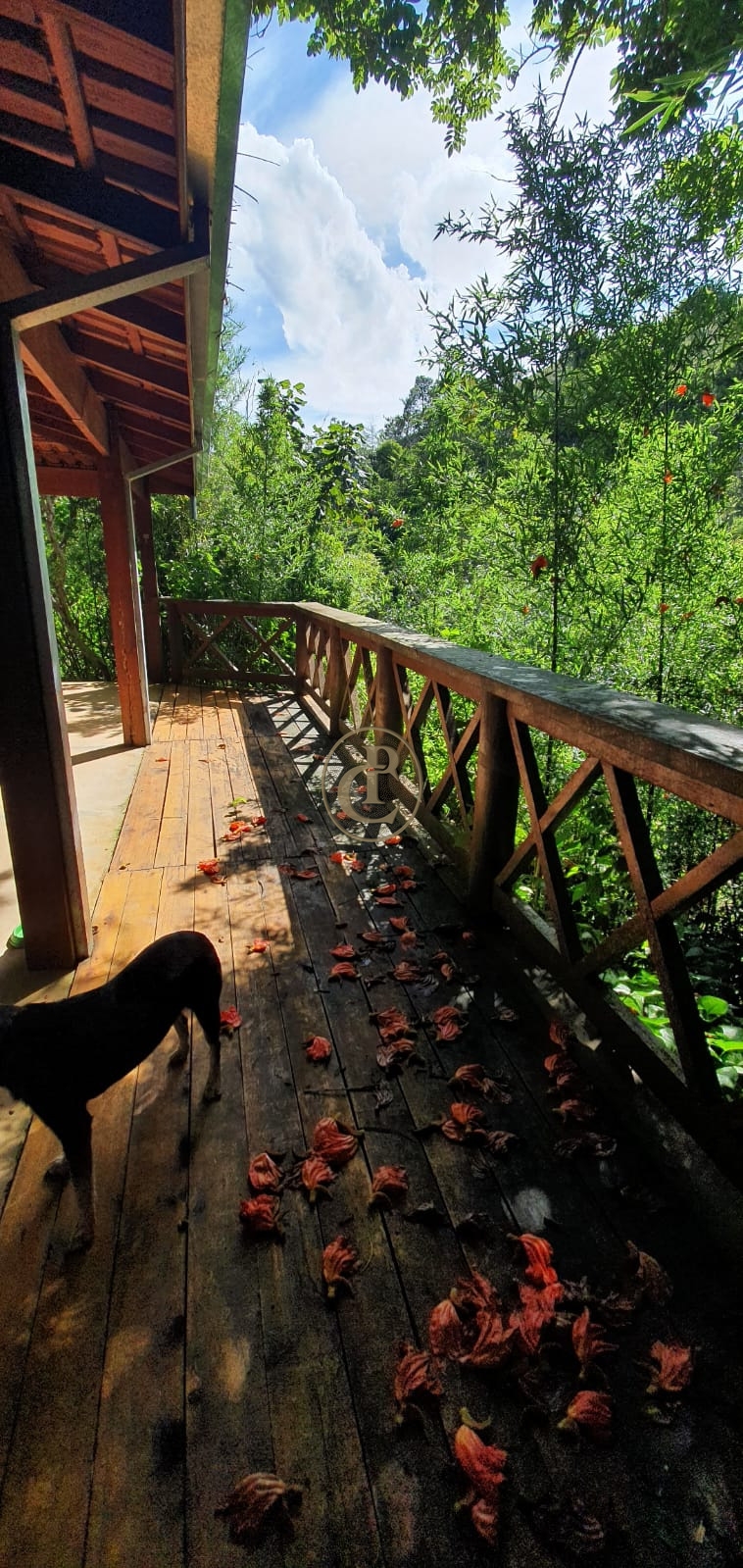 Fazenda-Sítio-Chácara, 400 m² - Foto 44