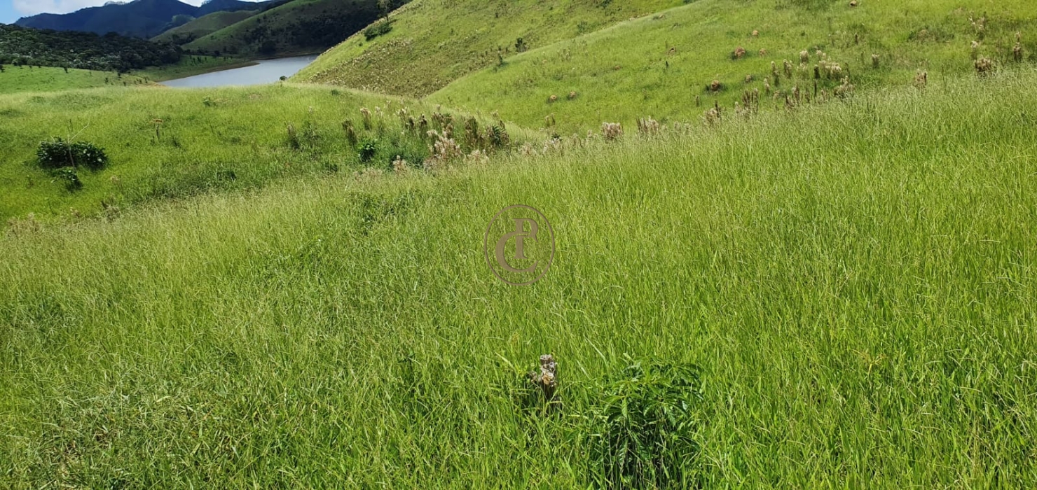 Fazenda-Sítio-Chácara, 400 m² - Foto 50